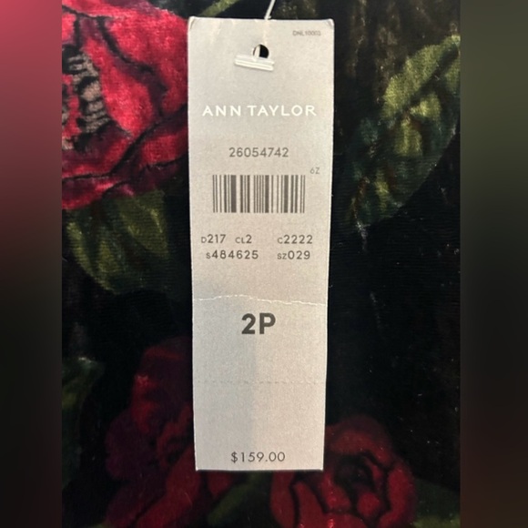 🌸NEW Ann Taylor Black Floral Velvet Dress Size 2P - Picture 4 of 5